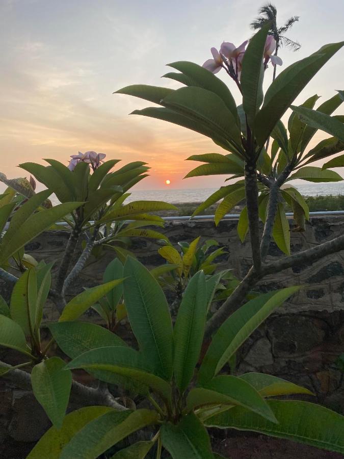 Spice Of Ceylon Hotel Chilaw Exterior foto