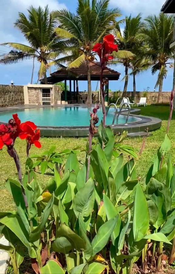 Spice Of Ceylon Hotel Chilaw Exterior foto
